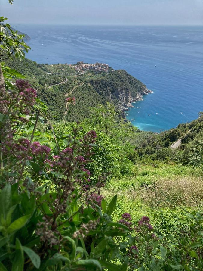 فيلا La Casa Rossa Arcola Con Vista المظهر الخارجي الصورة