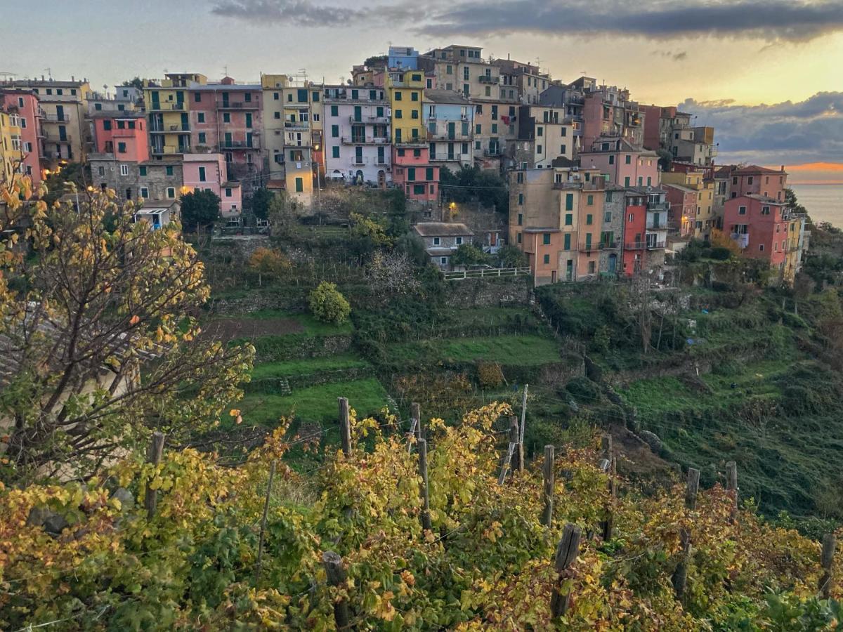 فيلا La Casa Rossa Arcola Con Vista المظهر الخارجي الصورة